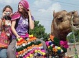 INDIA TOUR (11 Nights /12 Days)