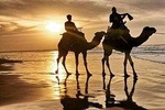 6Days 5Night Romantic Morocco Honeymoon Tour Private Activities Around Marrakech