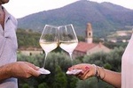 Wine Tour in the Euganean Hills