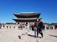 2 Day Tour for Seoul City/Nami, Petite,Garden of Morning Calm(Inc. Lun. & Din.)