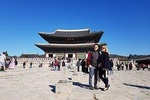 2 Day Tour for Seoul City/Nami, Petite,Garden of Morning Calm(Inc. Lun. & Din.)