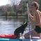 Paddle with Pups in Paradise