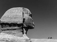 giza pyramids-memhis-saqara
