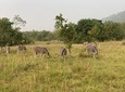 Escape to Shail Hills and Akosombo: Wild Animals, Caves & The View Of Volta Lake
