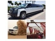 VIP Desert Safari Package with Stretch Limousine Transfers