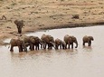 Amboseli Day Excursion
