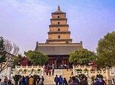  Private Half Day Tour to See The Big Wild Goose Pagoda&City Wall: