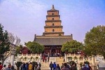  Private Half Day Tour to See The Big Wild Goose Pagoda&City Wall: