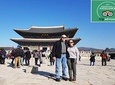 Layover Tour for Wonder of Korea 