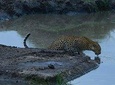 Classic Kenya Explore Safari 2020/2021