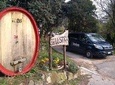 Padua experience like a local