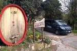 Padua experience like a local