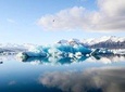 Jökulsarlón Glacier Lagoon Tour