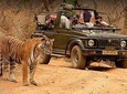 Taj Mahal With Ranthambore Jungle Safari 