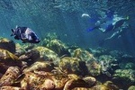 A Unique Multi Day Tour to Vergina(Ancient Macedonia), Meteora + Ancient Olympia