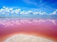 Natural Pink Lake Las Coloradas - Transportation Included