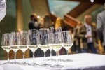 Wine tourism in Seville, visit of a winery and wine tasting