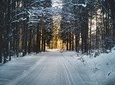 CROSS-COUNTRY SKIING: Great trip to Bohemia mountains