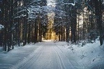 CROSS-COUNTRY SKIING: Great trip to Bohemia mountains