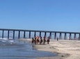 Horse ride on the beach and Puerto Nuevo