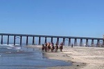 Horse ride on the beach and Puerto Nuevo