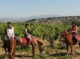 Horseback Ride, Penedés, Wine Tasting & Tapas Lunch