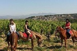 Horseback Ride, Penedés, Wine Tasting & Tapas Lunch