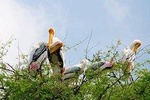 7 - Days Private Golden Triangle Tour with Bird Sanctuary