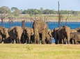 Kaudulla National Park Private Safari