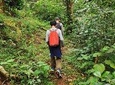 Waynad Walking Holiday