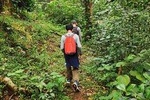 Waynad Walking Holiday