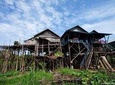 Cruise Tour- Half-Day Kompong Phluk, Tonle Sap Lake from Siem Reap