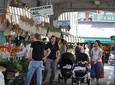 Montreal Private Guided Tour An Insiders Local Authentic Experience