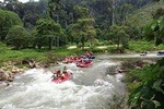 7km White Water Rafting Adventure Tour From Phuket