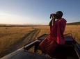 1 Day Maasai Mara Safari 
