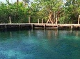 Tour Holbox Enjoy the nature!
