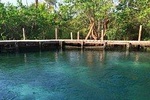 Tour Holbox Enjoy the nature!