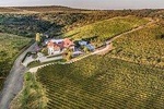 Wine tasting at the mansion, Dracula's grave from Snagov & Mogosoaia Palace 