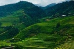2 Days Private Sapa Trek with Black Hmong Tribesman