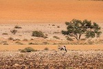 12 Days Self Drive Tour Namibia In Plus