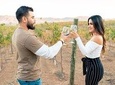 Celebrate Your Birthday / Wine Tasting Valle de Guadalupe & king and queen