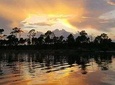 Dolphin and Nature Sunset Cruise from Orange Beach