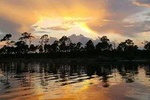Dolphin and Nature Sunset Cruise from Orange Beach