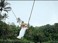 Free Wi- Fi - Ubud Jungle Swing - Monkey Forest - Water Temple - Waterfall