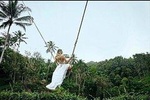 Free Wi- Fi - Ubud Jungle Swing - Monkey Forest - Water Temple - Waterfall
