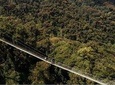 1 Day Canopy Walk Adventure in Nyungwe Forest National Park