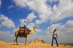 Giza Pyramids and The Sphinx Walking Tour