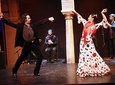Flamenco Show