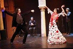 Flamenco Show