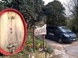From Venice: Wine Tour in the Euganean Hills